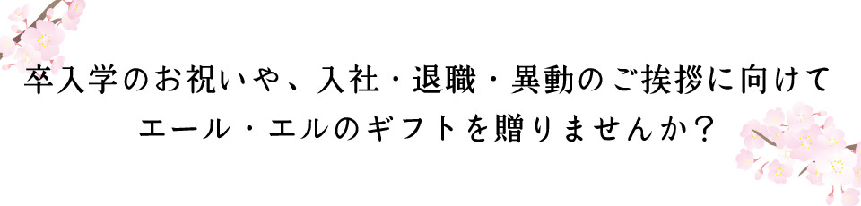 メインバナー2