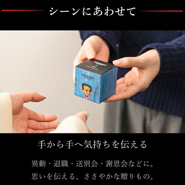 【送料込】コロコロキューブギフトセット（9個）