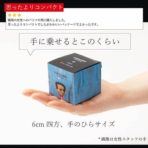 コロコロワッフル キューブ 地域限定 9個セット | 公式