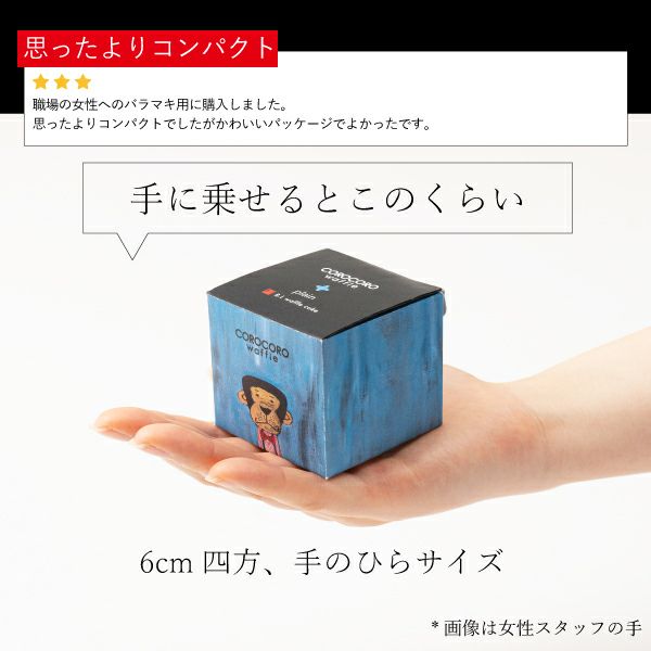 ワッフリッシュワッフル CUBE BOX ワッフリッシュワッフル CUBE BOX Amazon.com: Commercial 1500W